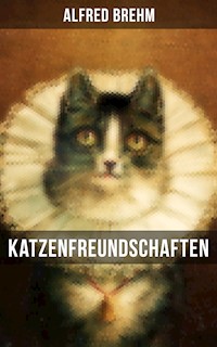 Katzenfreundschaften - Alfred Brehm - E-Book