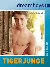 dreamboys 1: Tigerjunge - Tilman Janus - E-Book