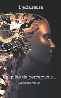 En quête de perceptions - Isabelle Garbin - E-Book