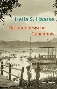 Das indonesische Geheimnis - Hella S. Haasse - E-Book