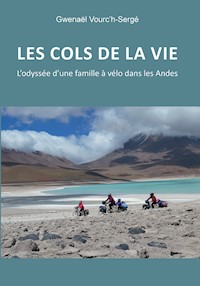 Les cols de la vie - Gwenaël Vourc'h-Sergé - E-Book