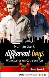 different boys - Weihnachten mit Colin und Tom - Norman Stark - E-Book