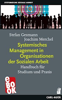 Systemisches Management in Organisationen der Sozialen Arbeit - Stefan Gesmann - E-Book