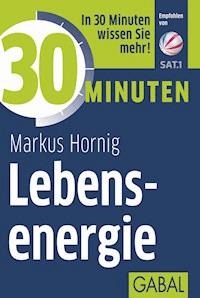 30 Minuten Lebensenergie - Markus Hornig - E-Book