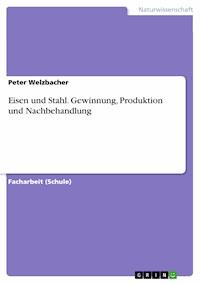 Eisen und Stahl. Gewinnung, Produktion und Nachbehandlung - Peter Welzbacher - E-Book