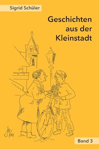 Geschichten aus der Kleinstadt, Band 3 - Sigrid Schüler - E-Book