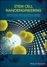 Stem-Cell Nanoengineering - H. Baharvand - E-Book