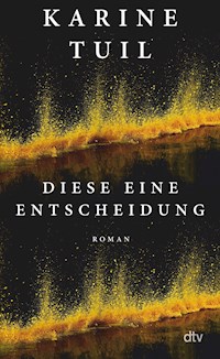 Diese eine Entscheidung - Karine Tuil - E-Book