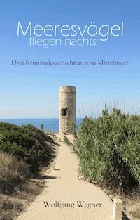 Meeresvögel fliegen nachts - Wolfgang Wegner - E-Book