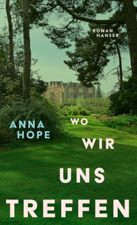Wo wir uns treffen - Anna Hope - E-Book