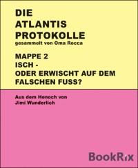 Atlantis-Protokolle Mappe 2 - Jimi Wunderlich - E-Book