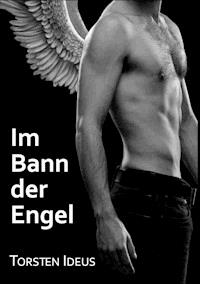 Im Bann der Engel - Torsten Ideus - E-Book