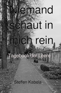 Niemand schaut in mich rein - Steffen Kabela - E-Book