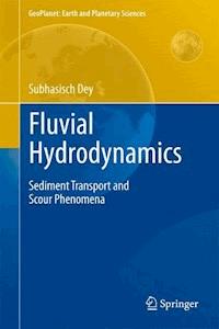 Fluvial Hydrodynamics - Subhasish Dey - E-Book