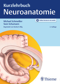 Kurzlehrbuch Neuroanatomie - Michael Schmeißer - E-Book