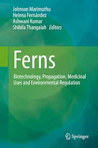 Ferns -  - E-Book