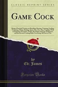 Game Cock - Ed - E-Book