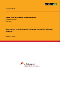 Approaches to scaling small software companies without investors - Carolin Nothof - E-Book