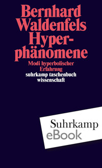 Hyperphänomene - Bernhard Waldenfels - E-Book