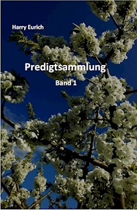 Predigtsammlung - Harry Eurich - E-Book