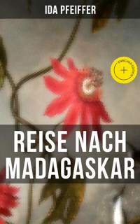 Reise nach Madagaskar - Ida Pfeiffer - E-Book