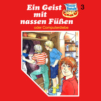 Pizzabande, Folge 3: Ein Geist mit nassen Füßen (oder Computerdiebe) - Ursel Scheffler - Hörbuch
