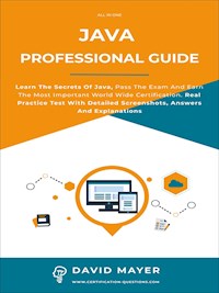 Java Professional Guide - David Mayer - E-Book