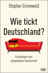Wie tickt Deutschland? - Stephan Grünewald - E-Book
