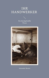 Ihr Handwerker - Das durchgeknallte Wesen - Alexander Bernitt - E-Book