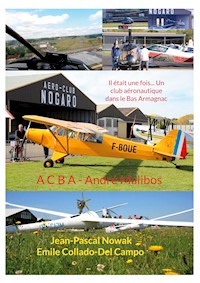 Il était une fois... Un club aéronautique dans le Bas Armagnac - Emile Collado-Del Campo - E-Book