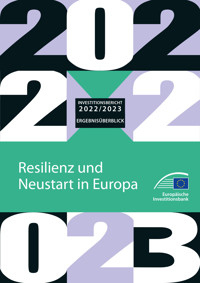 Investitionsbericht 2022/2023 – Ergebnisüberblickhave -  - kostenlos E-Book