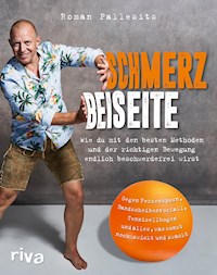 Schmerz beiseite - Roman Pallesits - E-Book