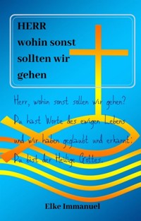 Herr wohin sonst sollten wir gehen - Elke Immanuel - E-Book