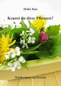 Kennst du diese Pflanzen? - Wildkräuter im Porträt - Heike Rau - E-Book