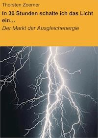 In 30 Stunden schalte ich das Licht ein… - Thorsten Zoerner - E-Book