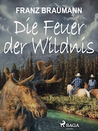 Die Feuer der Wildnis - Franz Braumann - E-Book