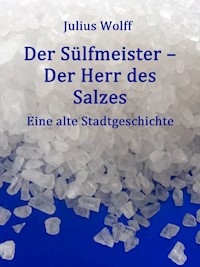 Der Sülfmeister - Julius Wolff - E-Book