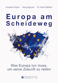 Europa am Scheideweg - Andreas Dripke - E-Book