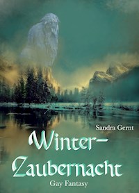 Winterzaubernacht - Sandra Gernt - E-Book
