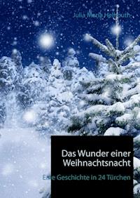 Das Wunder einer Weihnachtsnacht - Julia Maria Hellmuth - E-Book
