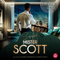 Sinful Mister Scott - Leander Rose - Hörbuch