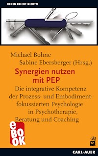 Synergien nutzen mit PEP -  - E-Book