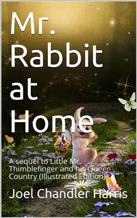 Mr. Rabbit at Home / A sequel to Little Mr. Thimblefinger and his Queer Country - Joel Chandler Harris - E-Book