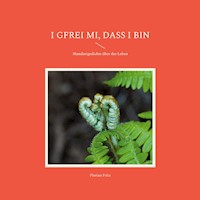 I gfrei mi, dass i bin - Florian Fritz - E-Book