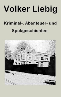 Kriminal-, Abenteuer- und Spukgeschichten - Volker Liebig - E-Book
