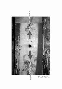 König der Seestadt - Briant Rokyta - E-Book