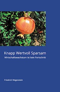 Knapp Wertvoll Sparsam - Friedrich Wegenstein - E-Book