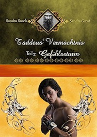 Taddeus' Vermächtnis: Gefühlssturm - Sandra Busch - E-Book
