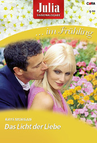 Das Licht der Liebe - Raye Morgan - E-Book