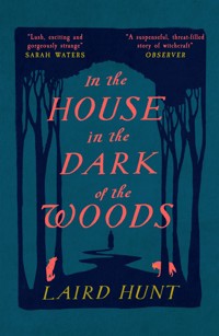 In the House in the Dark of the Woods - Laird Hunt - E-Book